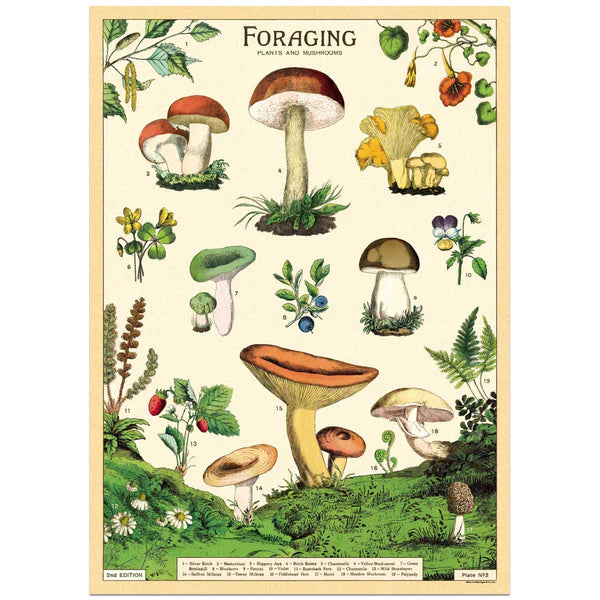 Cavallini Papers & Co. Inc Posters