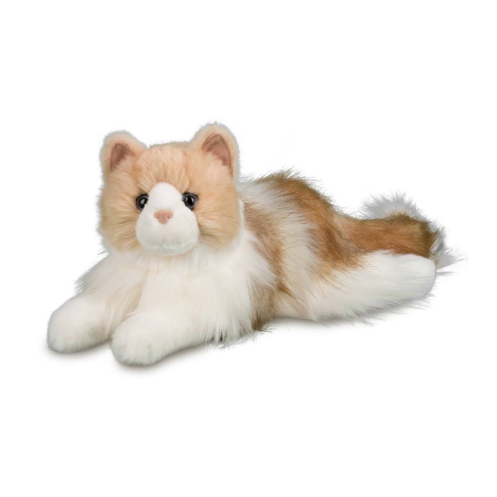 Kiki Ragdoll cat