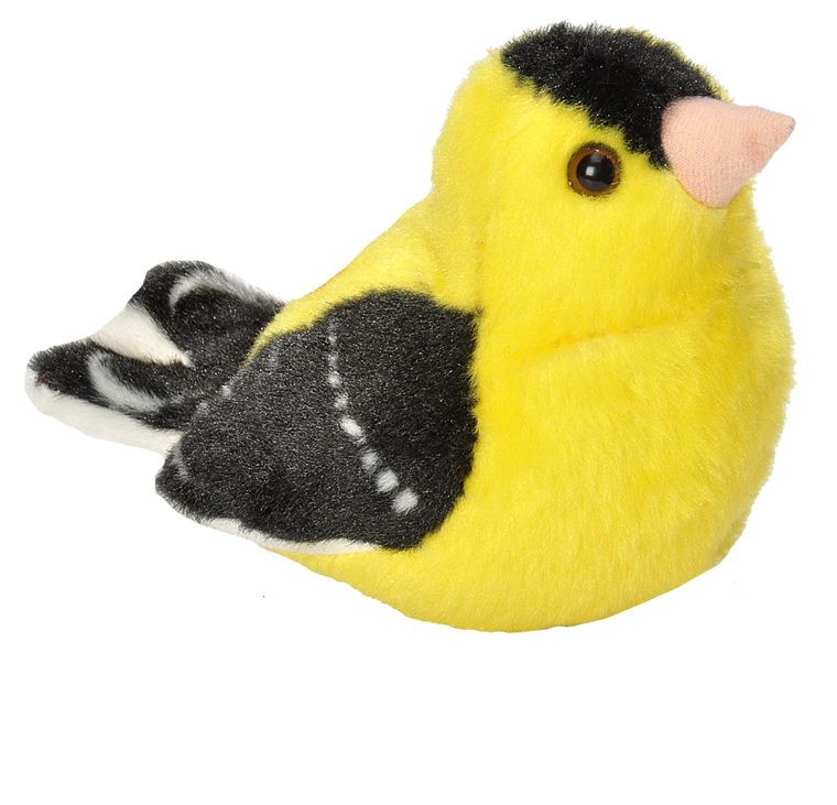 Audubon American Goldfinch
