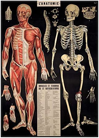 Cavallini Papers & Co. Inc Posters