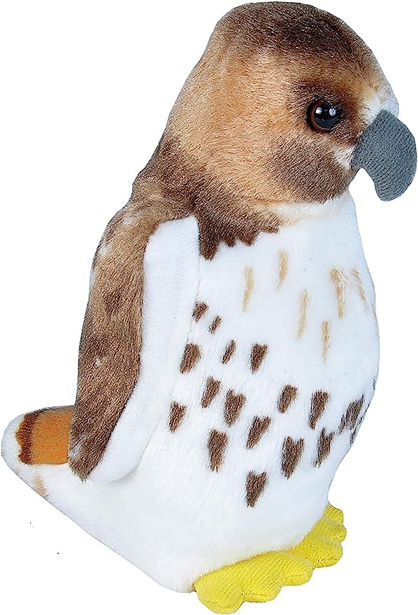 Audubon Red Tailed Hawk