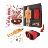 A large white book is open with Virtual Reality Human Body! printed on the inside cover. Inside the book there is a 3D model of the human body, an array of model body parts, and the virtual reality glasses. These are also laid out in front of the book. 