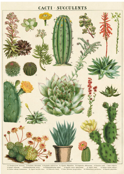 Cavallini Papers & Co. Inc Posters