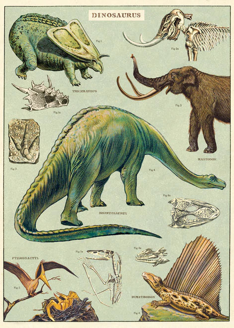 Cavallini Papers & Co. Inc Posters