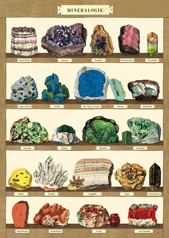 Cavallini Papers & Co. Inc Posters