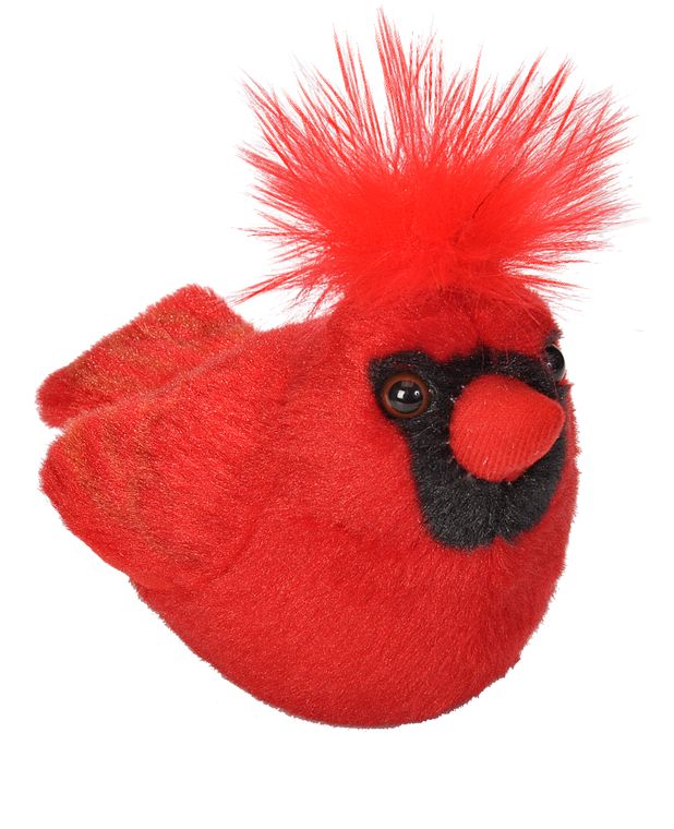 Audubon Northern Cardinal