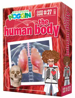 Professor Noggin's