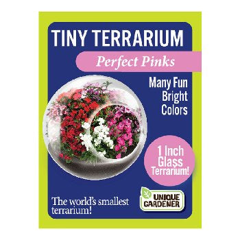 Tiny Terrarium Flower